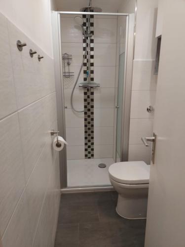 a bathroom with a shower and a toilet in it at Panoramic App A07-6 in Sierksdorf