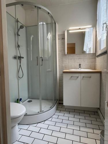 y baño con ducha, aseo y lavamanos. en APPARTEMENT COSY CENTRE HISTORIQUE, en Caen