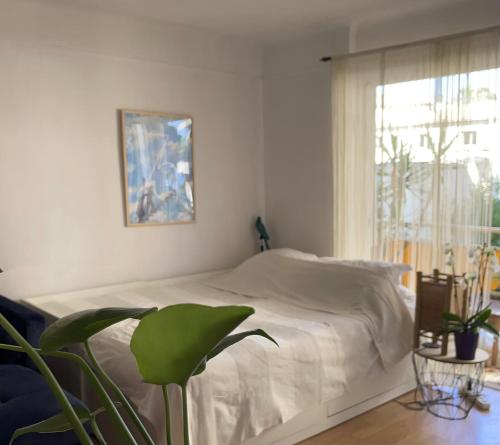 um quarto branco com uma cama e uma janela em Océan front apartment em Cannes