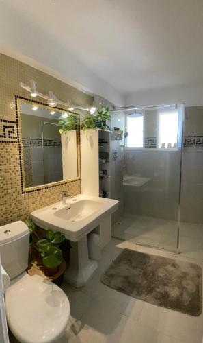 uma casa de banho com um lavatório, um WC e um chuveiro em Océan front apartment em Cannes