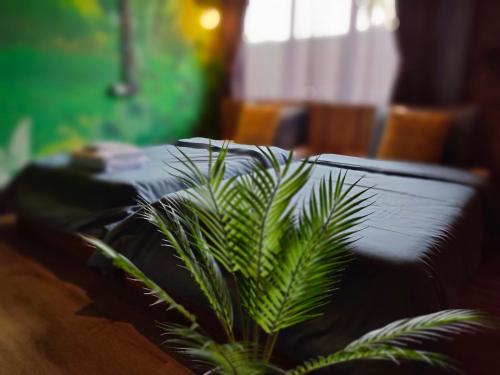 a green plant sitting next to a table at โรงแรม บอร์ดดิ้งเฮ้าส์ in Ban Bang Yai Chuai