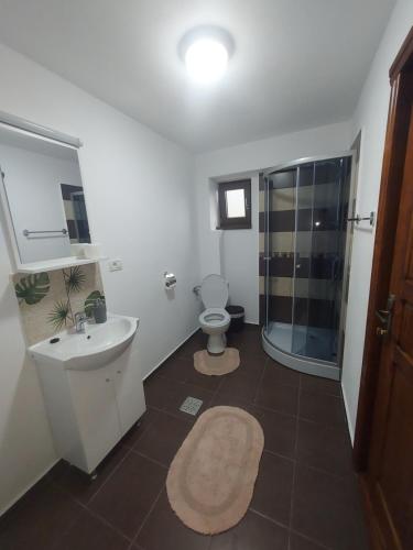 Billede fra billedgalleriet på Casa Elena i Ceahlău