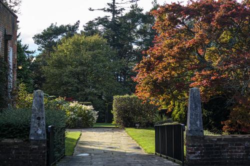 a stone path leading to a garden with trees at Barnett Hill Hotel in Guildford