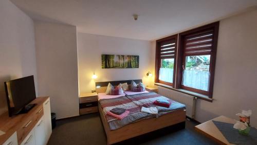 a bedroom with a bed and a television in it at Pension & Gasthof "Am Park" UG in Stützerbach