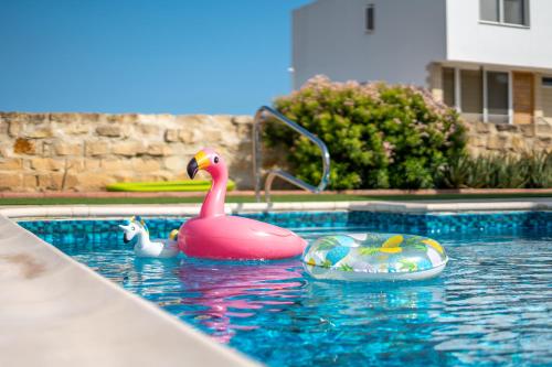 a swimming pool with a pink rubber duck and a toy at Dene Hollow Oroklini in Voroklini