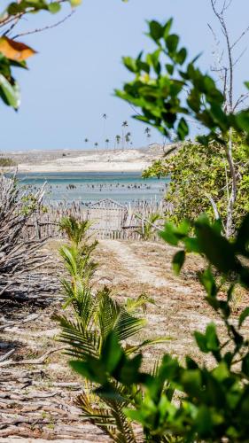 a beach with the ocean in the background at Tatajuba Hostel Casa Pascual in Tatajuba