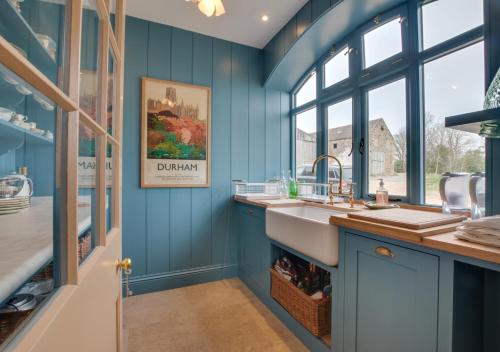 a kitchen with blue walls and a sink at North Farm in Walworth
