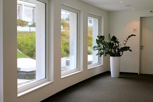 a hallway with three windows and a potted plant at Best Western Hotel Rebstock in Rorschacherberg