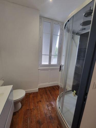 baño con ducha y aseo y ventana en Appartement de Charme avec tomettes et Parquet, en Graulhet