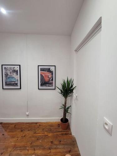 Habitación blanca con maceta y cuadros en la pared. en Appartement de Charme avec tomettes et Parquet, en Graulhet