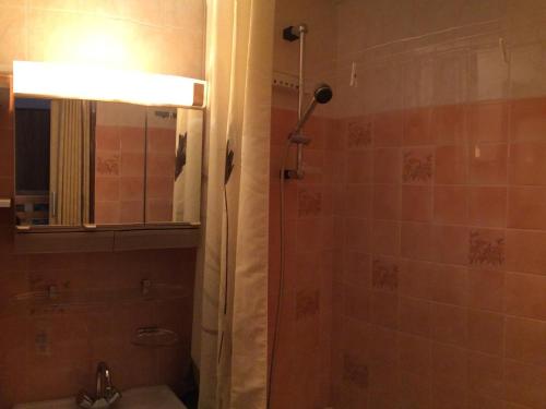une salle de bain avec une douche, un lavabo et un miroir dans l'établissement Studio 4 pers., pied des télésièges, balcon sud, calme, proche commerces - FR-1-416-66, à La Toussuire