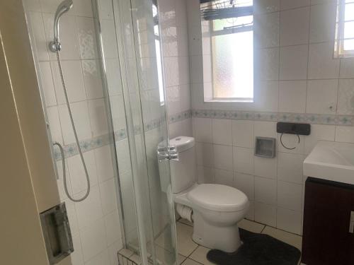 a bathroom with a shower and a toilet and a sink at Safari Apartments -Beautiful 3 bedrooms, 10-seater dining , TV room, Garden & Pool in Johannesburg