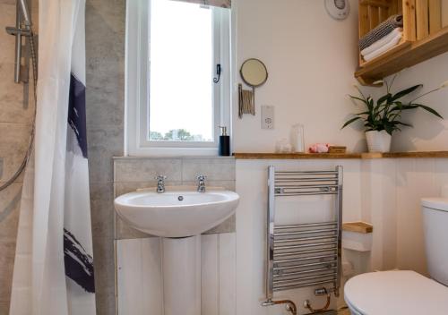 baño con lavabo, ventana y aseo en The Bolthole and Warren, en Biddenden