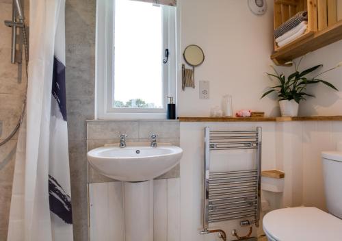 a bathroom with a sink and a window and a toilet at The Bolthole and Warren in Biddenden