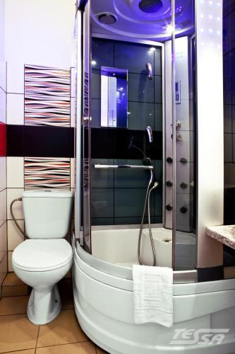 a bathroom with a toilet and a shower and a sink at Pokoje Gościnne Tessa in Chełm