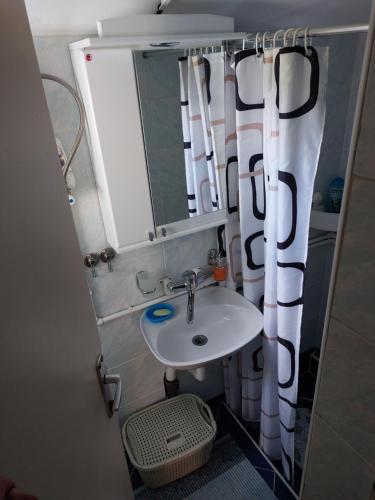 uma casa de banho com um lavatório e um espelho em Seosko domaćinstvo Alababa em Kosjerić