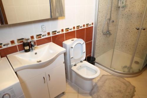 a bathroom with a sink and a toilet and a shower at Villa Cozy in Marmaris