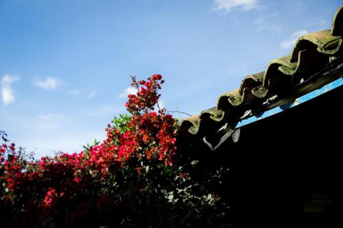 a tree with red flowers in front of a roof at Hotel Museo la Posada del Molino in El Cocuy