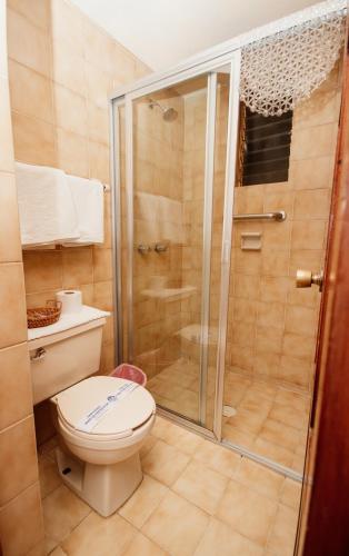 a bathroom with a toilet and a shower at Mansion de los Angeles in San Cristóbal de Las Casas