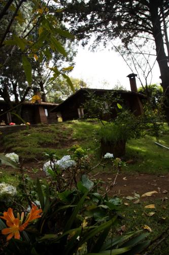a garden with a house in the background at Cabañas los Venados in Mazamitla
