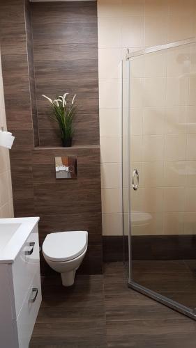 a bathroom with a toilet and a glass shower at Apartament Prima in Reda