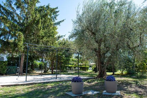 a park with a basketball hoop and trees at Terre Etrusche Guest House-Terme -3 minuti da Viterbo centro in Viterbo