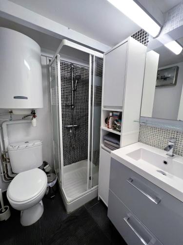 une salle de bain avec une douche, des toilettes et un lavabo dans l'établissement La maisonnette de Gruissan, à Gruissan