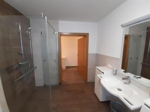 ein Bad mit einer Dusche, einem Waschbecken und einem Spiegel in der Unterkunft Großzügiges Apartment Georg Mayrhofen Barrierefrei in Hollenzen