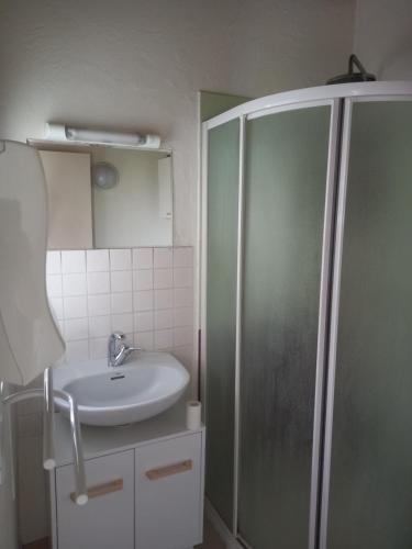 een badkamer met een wastafel en een douche bij Chez Mimi in Trévol