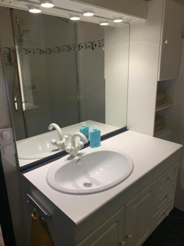 a bathroom with a white sink and a mirror at By Goselink in Alkmaar