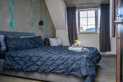 1 dormitorio con cama con sábanas azules y ventana en Finesi Apartments 2 en Ohrid