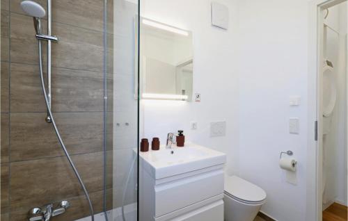 a bathroom with a sink and a shower at Nice Home In Lembruchdümmer See in Lembruch