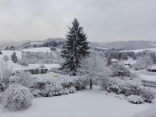 a snow covered yard with a tree and a house at Drevenice Horné Kysuce in Vysoká nad Kysucou