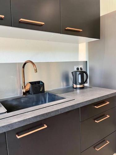 a kitchen with a sink and a kettle on the counter at Coconut Room - Entre mer et forêt avec piscine in Rémire-Camp