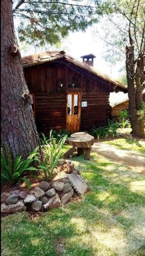 a log cabin with a bench next to a tree at Cabañas los Venados in Mazamitla
