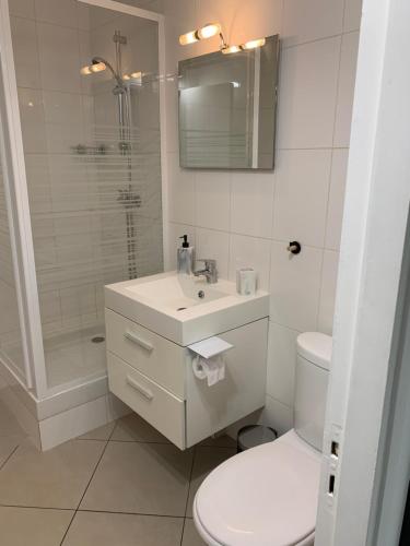 une salle de bain avec un lavabo, une douche et des toilettes dans l'établissement Joli Studio proche quartier Timone Climatisé, à Marseille