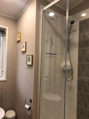 a glass shower in a bathroom with a toilet at Mawgan Stays Mawgan Porth in Newquay