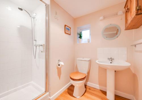 a bathroom with a toilet and a sink and a shower at Larksfield Snug in Debach