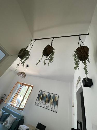 a living room with baskets hanging from the ceiling at Ma. De House Lago del Turano in Valle Verde