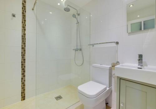 een badkamer met een douche, een toilet en een wastafel bij Mallards in Whepstead