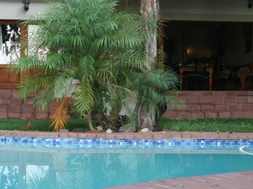 a palm tree sitting next to a swimming pool at River Bank Lapa in Upington