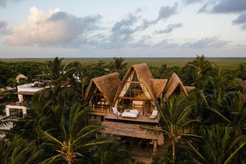 an aerial view of a house in the jungle at La Valise Tulum in Tulum