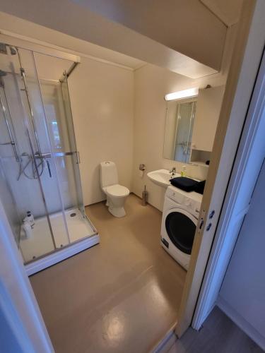 a bathroom with a shower and a toilet and a sink at Vollvaagen Apartments Smøla, boat included in Smøla