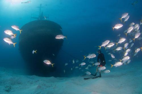 a man standing in front of a school of fish in the ocean at Holiday Inn Resort Grand Cayman by IHG in George Town