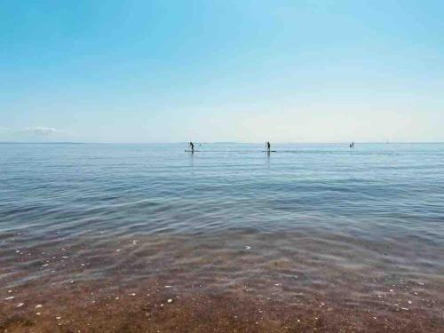 a group of people standing in the water at Adorable bedsit for you, partner and your pet! in Pembrokeshire
