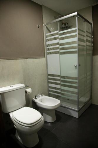 a bathroom with a toilet and a shower and a sink at Rozas Apart in Ezeiza