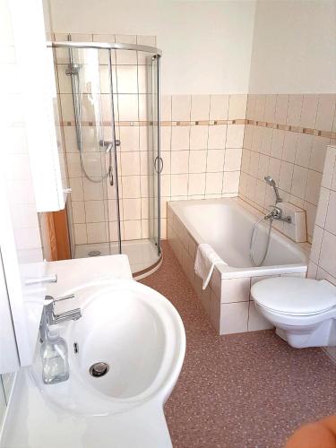 a bathroom with a sink and a toilet and a shower at Ferienwohnung Erzgebirge in Lauter