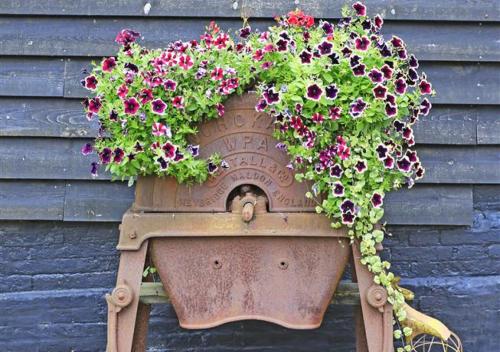 a flower pot with flowers in it on a wall at The Tack Room in Wangford