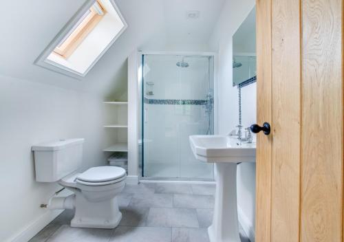 a bathroom with a shower and a toilet and a sink at The Green Shed in Sudbourne