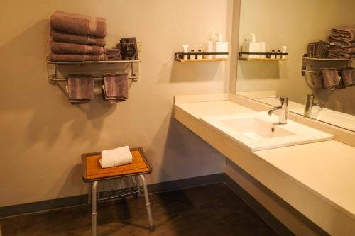 a bathroom with a sink and a mirror at Americana Modern Hotel in Redding